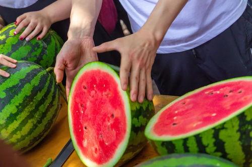 潮州今日吃瓜事件视频,一场网络热议背后的真相揭秘