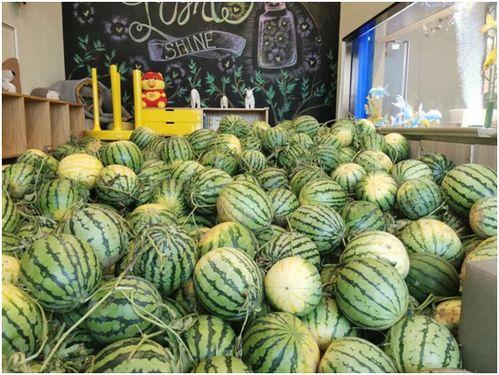 潮州今日吃瓜事件视频,一场网络热议背后的真相揭秘