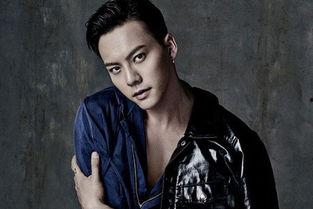 最近火的男明星网红,揭秘当红男明星网红的崛起之路