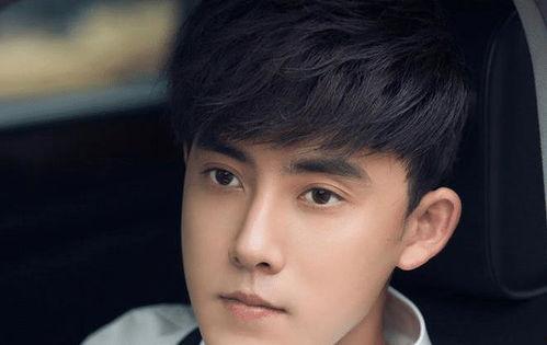 最近火的男明星网红,揭秘当红男明星网红的崛起之路