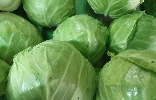 今日东庄头茭瓜价格,新鲜上市，品质保证