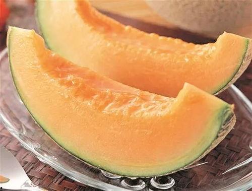 今日瓜价哈密瓜