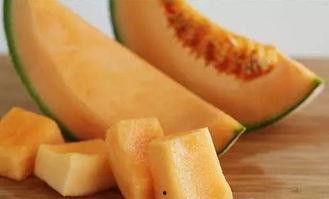 今日瓜价哈密瓜