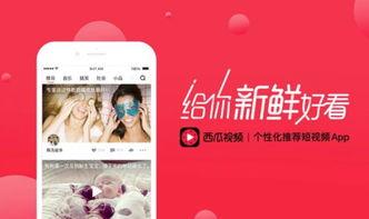 今日头条最近吃瓜视频是真的吗,真相揭秘，是真是假？