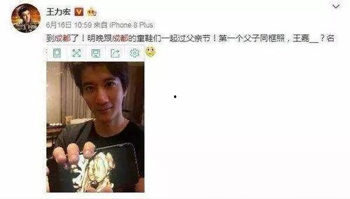 明星网红孩子名字怎么取,明星网红孩子名字背后的创意与寓意