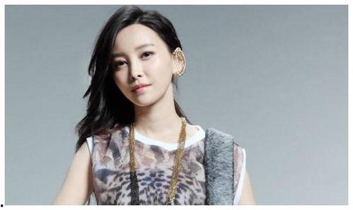 东北全是明星网红是谁