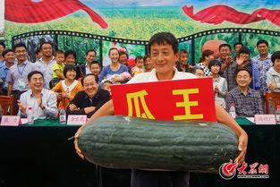 黑瓜网今日大赛最新,激情碰撞，巅峰对决！