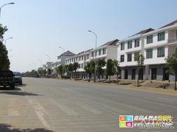 安福瓜乡今日新闻,丰收盛景映照乡村振兴新画卷