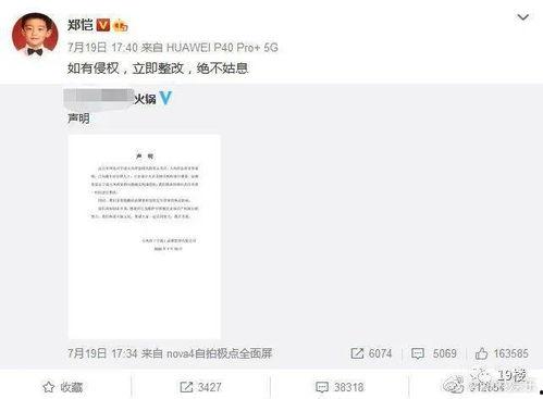 今日份瓜是啥,瓜界新动态