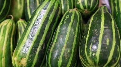 今日宜吃瓜,揭秘娱乐圈最新热点事件