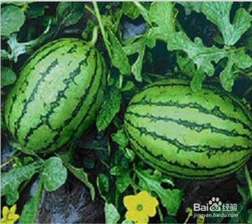 51cg热门大瓜今日吃瓜反差