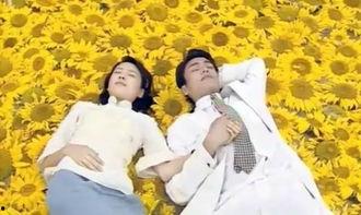 出明星网红的视频素材,揭秘明星网红幕后制作过程