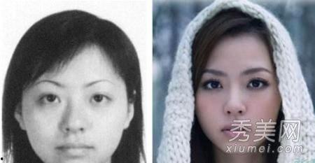 明星网红大鸭子图片高清