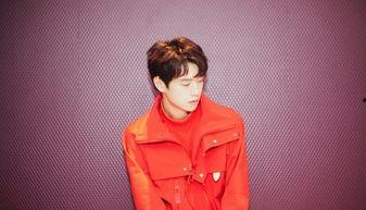 明星网红同款造型男生,揭秘明星网红同款造型男生魅力解析