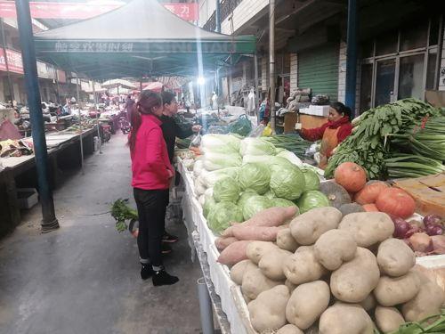 深圳鲜瓜今日价格,新鲜上市，品质保证，价格实惠”