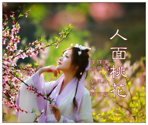 人面桃花电视剧,爱恨交织的乱世情缘