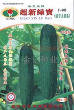 今日高温棚吊瓜价