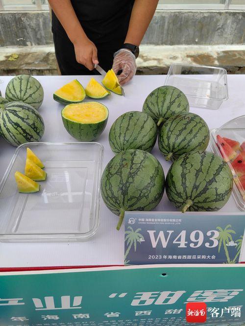 乐东二瓜今日价格表,新鲜上市，价格实况速览