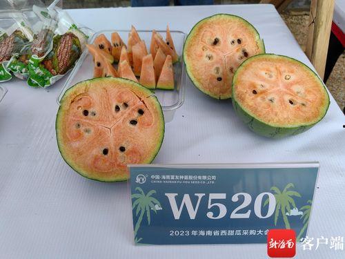 乐东二瓜今日价格表,新鲜上市，价格实况速览