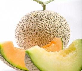 今日蜜瓜报价查询最新,市场行情实时洞察