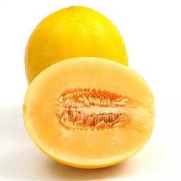 今日蜜瓜报价查询最新,市场行情实时洞察