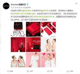 明星网红嗨料分享网站,明星网红分享网站带你探秘娱乐圈幕后故事