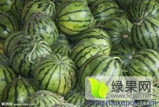 今日云南昆明贝贝瓜产地直销,直供源头，品味地道鲜甜