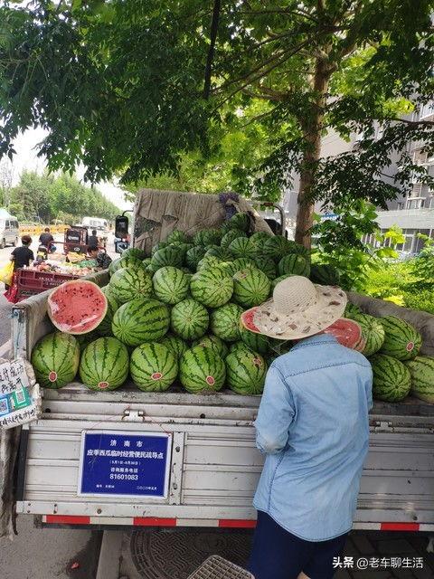 石头瓜今日行情