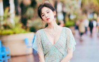 明星网红圣典是谁的,揭秘网红圈内的神秘秘籍