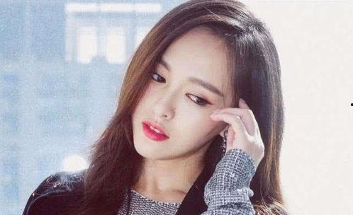 明星网红圣典是谁的,揭秘网红圈内的神秘秘籍