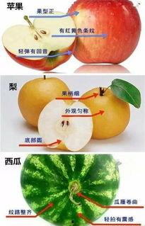 今日每日必吃大瓜top10,揭秘每日必吃大瓜TOP10，娱乐圈风云再起！