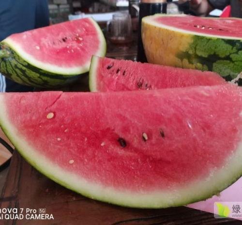 今日扶绥蒲瓜价格多少