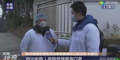 四川今日吃瓜新闻直播视频