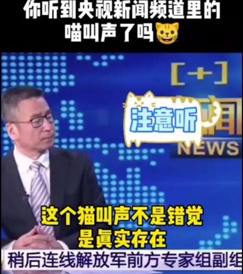 四川今日吃瓜新闻直播视频