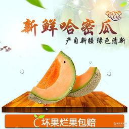 新疆哈密瓜今日行情,甜蜜上市，价格波动解析