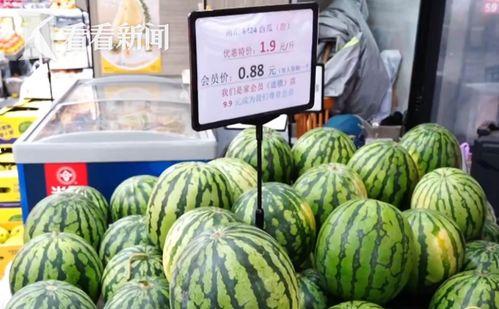 河南产区今日瓜价,丰硕果实，价格波动引关注