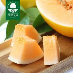 今日蜜瓜最新价格