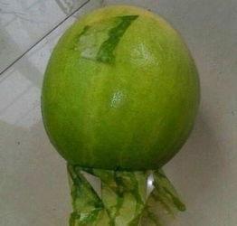 许昌今日吃瓜事件,网络热议背后的真相揭秘