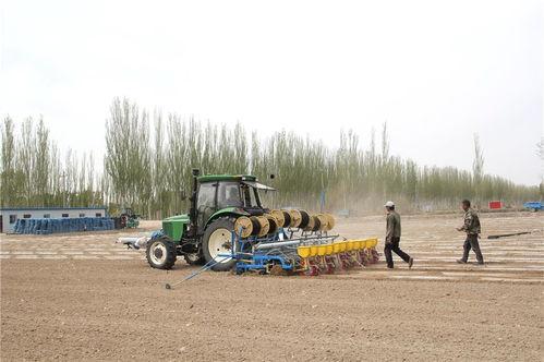 今日甘肃瓜州县头条,瓜州县最新动态，聚焦民生发展新篇章