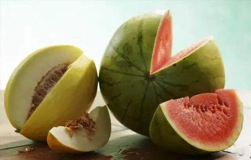 今日瓜娄价钱,市场动态一览”