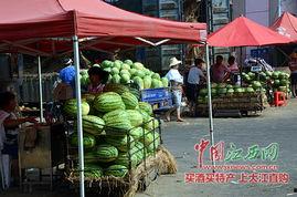 江西南昌今日热瓜价格,新鲜上市，价格波动一览