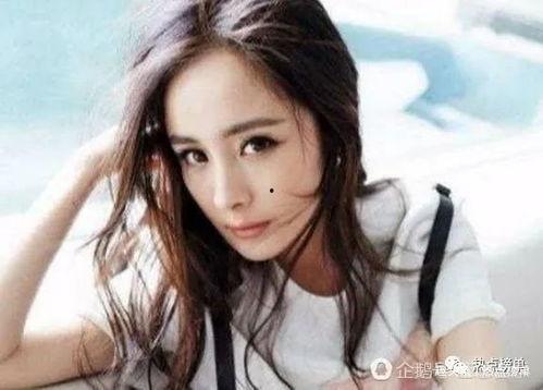 全网明星网红排名榜,揭秘流量密码，盘点热门人物！