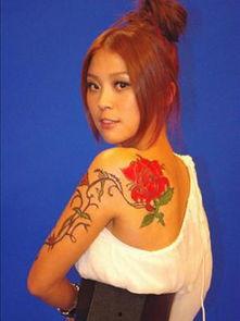 湖南长沙明星网红有哪些,璀璨星城魅力人物集结