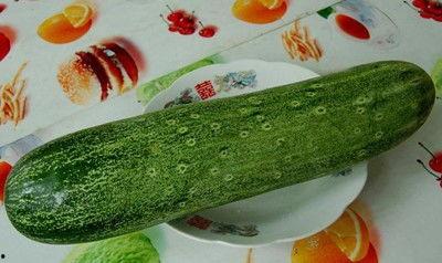 今日吃瓜5吃瓜网址,热门吃瓜网址大起底