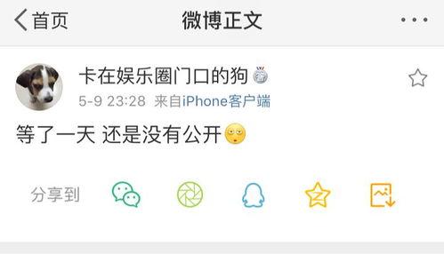 今日爆料吃瓜视频大全,吃瓜视频大全，揭秘娱乐圈幕后真相