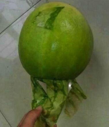 九一今日吃瓜事件,揭秘网络舆论的狂欢与反思