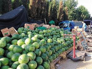 九一今日吃瓜事件,揭秘网络舆论的狂欢与反思