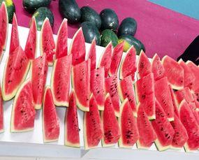 热门大瓜今日吃瓜校园,揭秘热门大瓜，一起吃瓜涨知识