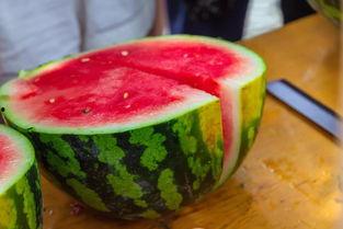 热门大瓜今日吃瓜校园,揭秘热门大瓜，一起吃瓜涨知识