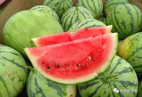 热门大瓜今日吃瓜校园,揭秘热门大瓜，一起吃瓜涨知识